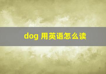 dog 用英语怎么读